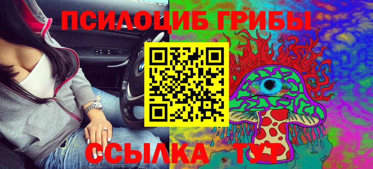 цены наркотик  Псилоцибиновые грибы Cubensis  Кулебаки  Вход с VPN  Псилоцибиновые грибы GOLDEN TEACHER 